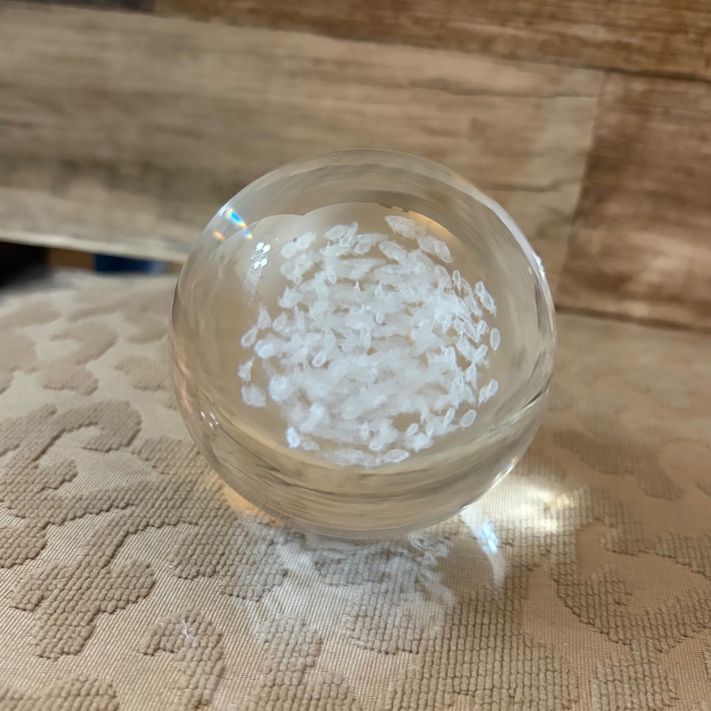 Clear Art Glass Paperweight Spherical Orb with White bubble fish swimming
